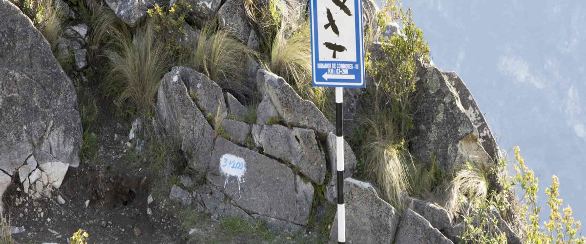 Full Day View of the Condor Chonta Canyon Tour