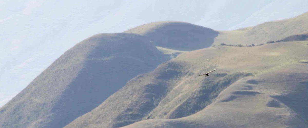 Full Day View of the Condor Chonta Canyon Tour