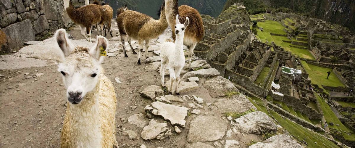 Trek To The Cachicata Quarters Full Day