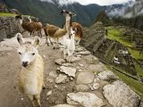 Trek To The Cachicata Quarters Full Day