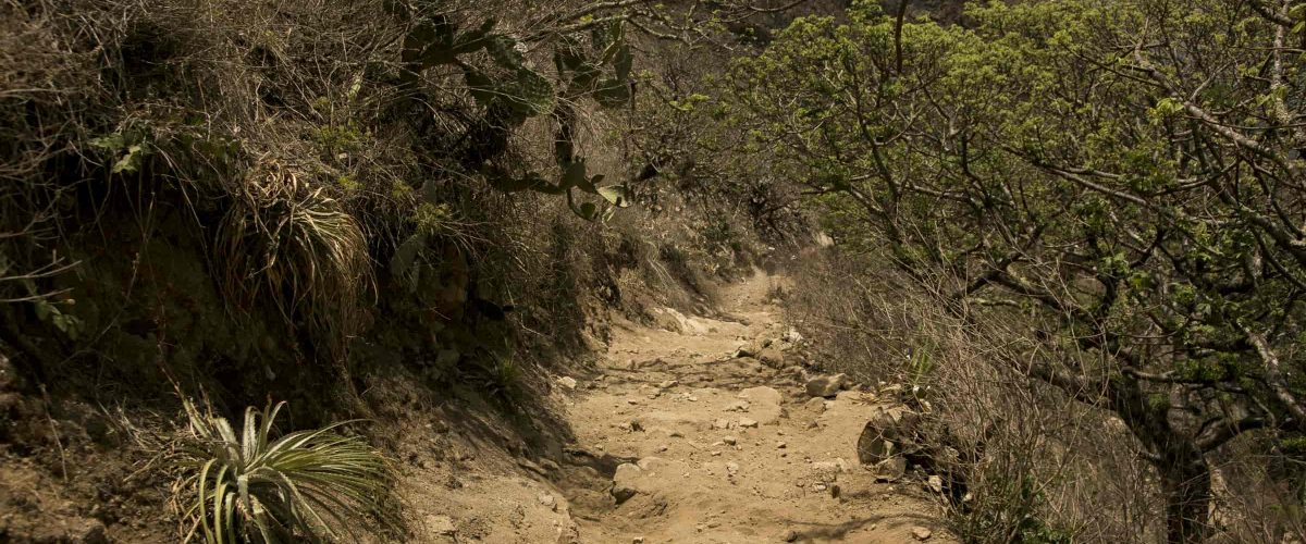 Choquequirao Trek 4D / 3N