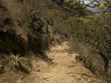 Choquequirao Trek 4D / 3N