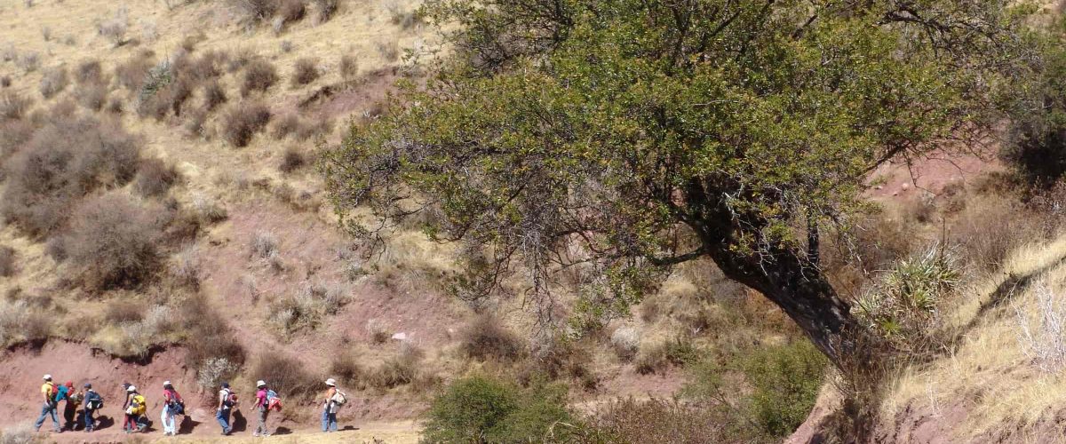 Caminata Huchuy Qosqo a Machu Picchu 3D / 2N