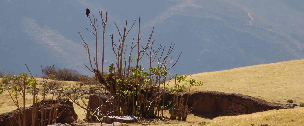 Caminata Huchuy Qosqo a Machu Picchu 3D / 2N