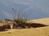 Caminata Huchuy Qosqo a Machu Picchu 3D / 2N