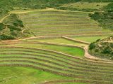 Maras & Moray Biking Full Day Tour