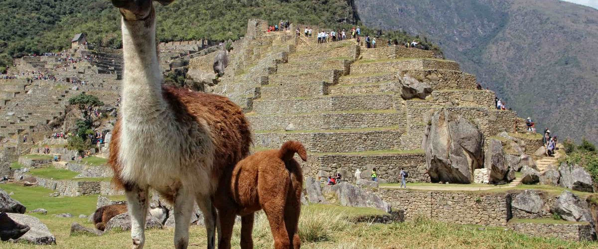 Inca Trail to Machu Picchu – Private Service 5D / 4N