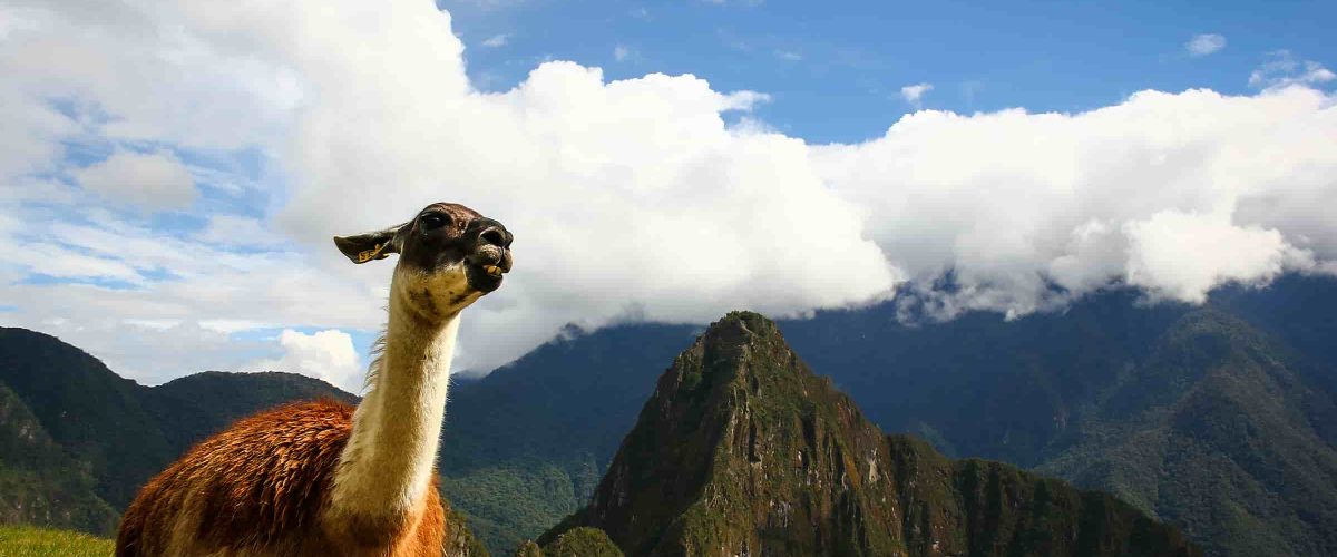 Exploring the Sacred Valley and Machu Picchu 2D / 1N