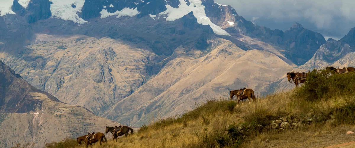 Sacred Valley Full Day Tour – Private Service